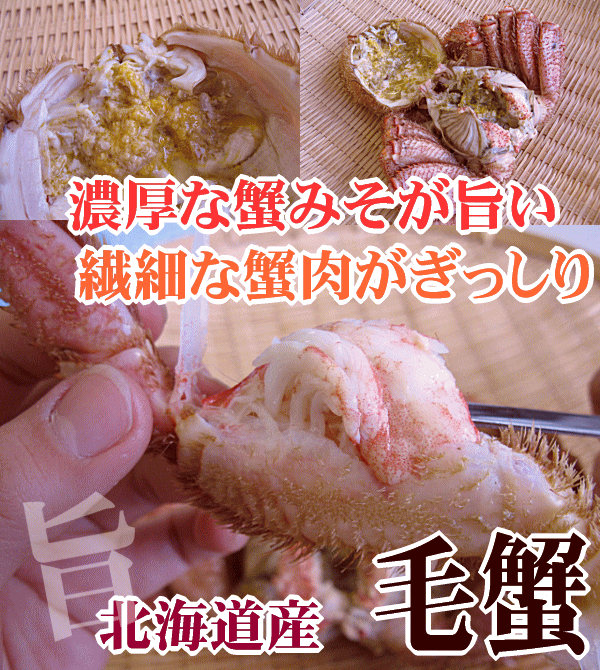 濃厚な蟹みそが旨い！北海道産毛がに。